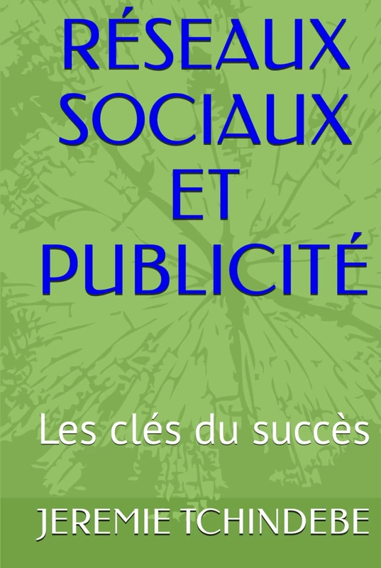 RÉSEAUX SOCIAUX ET PUBLICITÉ: Les clés du succès