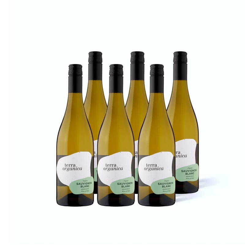 Terra Organica Sauvignon Blanc - White Wine from Chile with Gooseberry and Lime Notes, A Bright, Fruity & Zesty Wine - Perfect Pairing to Fish and Spicy Dishes, 13% ABC 6 x 75cl - White Wine Gift Set