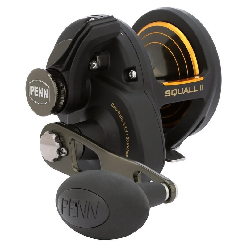 PENN Squall II Lever Drag Fishing Reel, Size 25, Graphite Body and Sideplates, Stainless Steel Main and Pinion Gears, Powerful PENN Dura-Drag