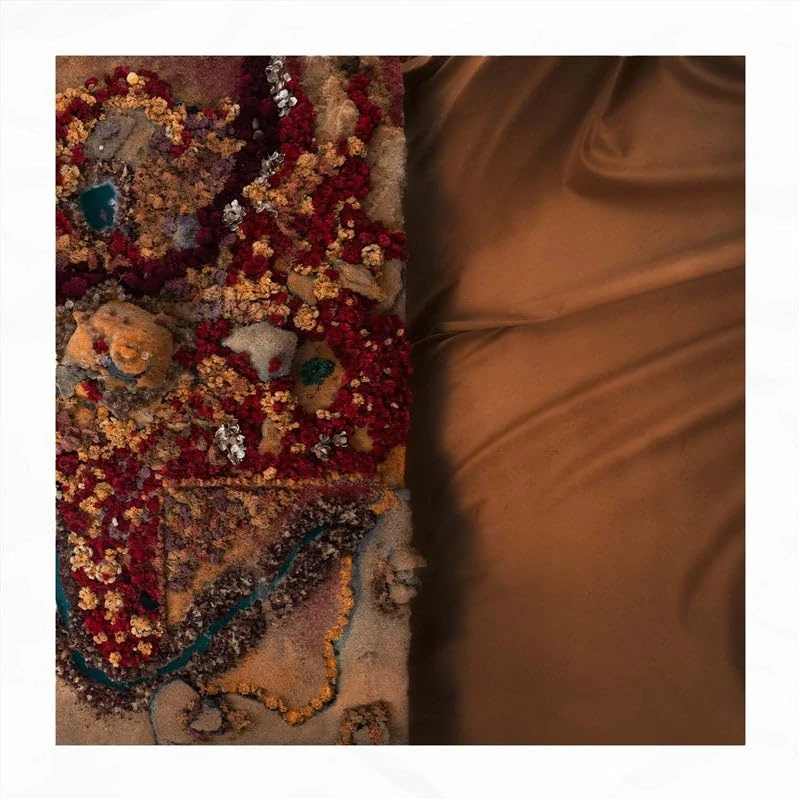 Act Of Disappearing (White Vinyl) [VINYL]