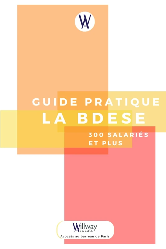 Guide pratique de la BDESE, 300 salariés et plus - Image 1