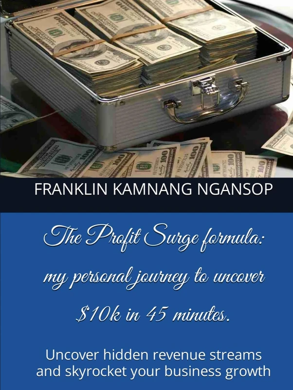 The Profit Surge formula: my personal journey to uncover $10k in 45 minutes.: Uncover hidden revenue streams and skyrocket your business growth - Image 1