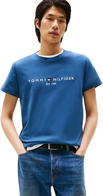 Tommy Hilfiger Men's Slim Fit Short Sleeve Round Neck T-Shirt, Blue (Aegean Sea), L