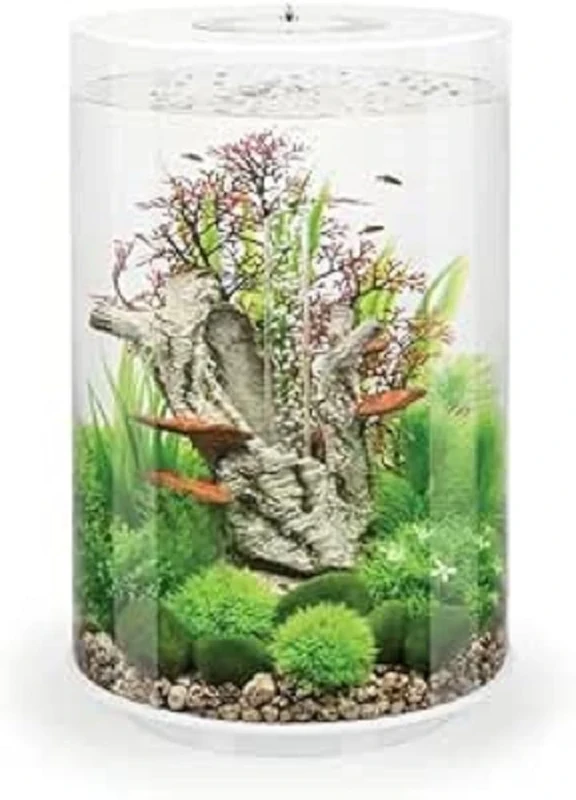 biOrb TUBE 30 Aquarium (White, 30 Litres), Perfect Beginner Fish Tank With Integrated LED Lights, Quick & Easy To Set Up, 360-Degree View Aquarium With 5-Step Filtration System, Acrylic Base