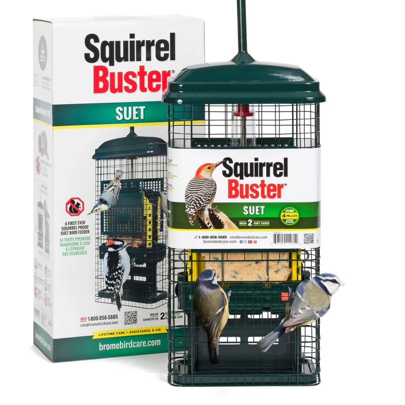 Squirrel-proof Bird Feeder for Suet Cakes - Jacobi Jayne Squirrel Buster Suet – Pigeon Proof Metal Bird Suet Feeder for Wild Birds – Easy Clean Hanging Suet Bird Feeder for Garden Birds
