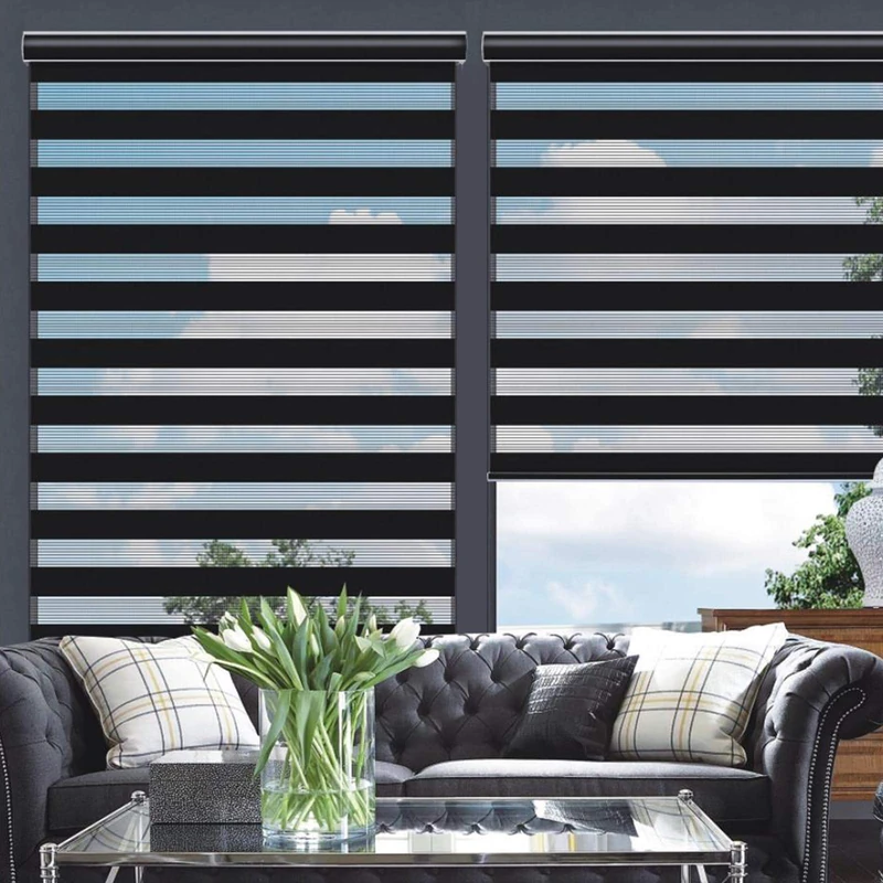 Changshade Cordless Zebra Blinds for Windows, Modern Dual Layer Zebra Blinds with Light Filtering & Privacy Control,Easy Install Zebra Blinds for Indoor Windows,（37" W×72" H,Black）
