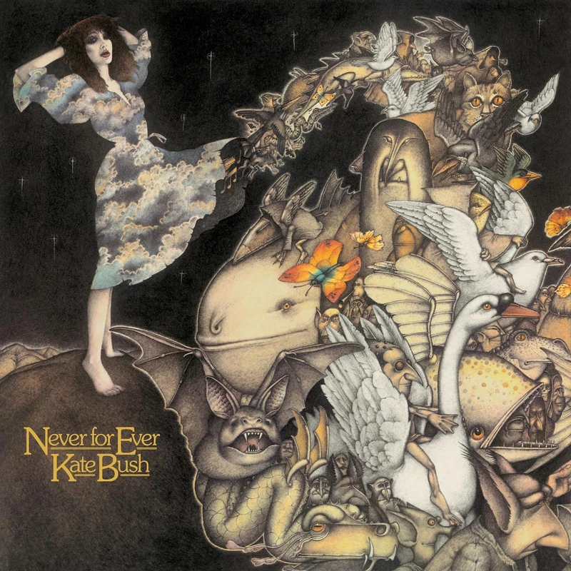 Never For Ever [VINYL]
