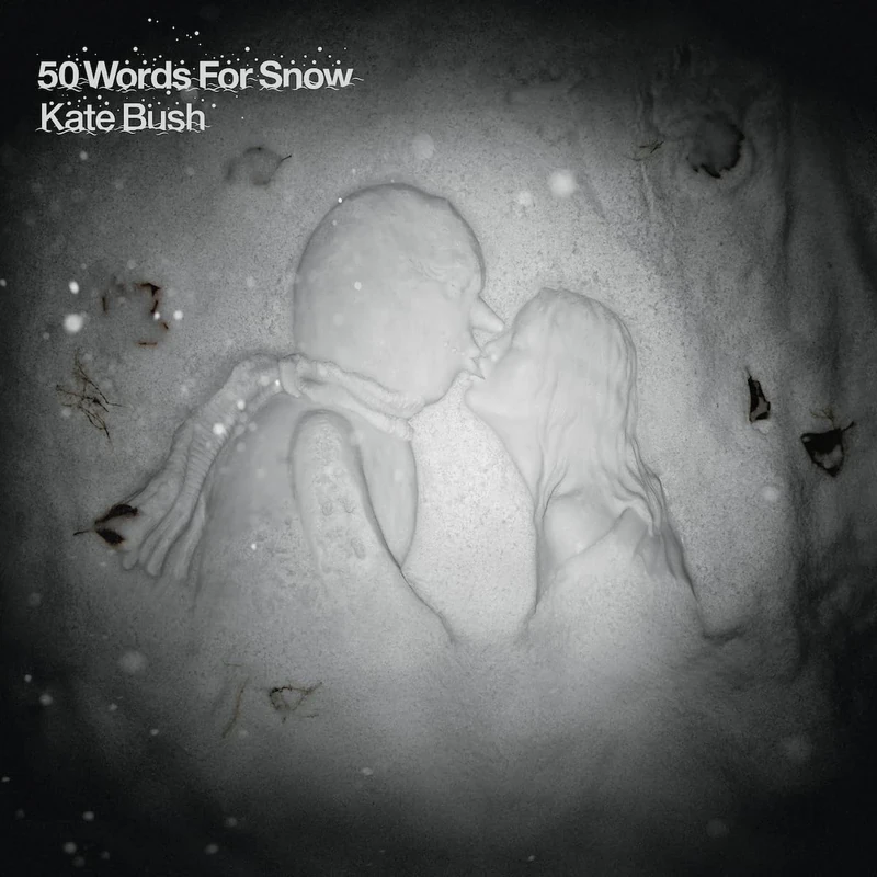 50 Words for Snow (Fish People Edition) [VINYL] - Image 1