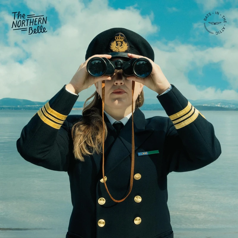Bats in the Attic [VINYL] - Image 1