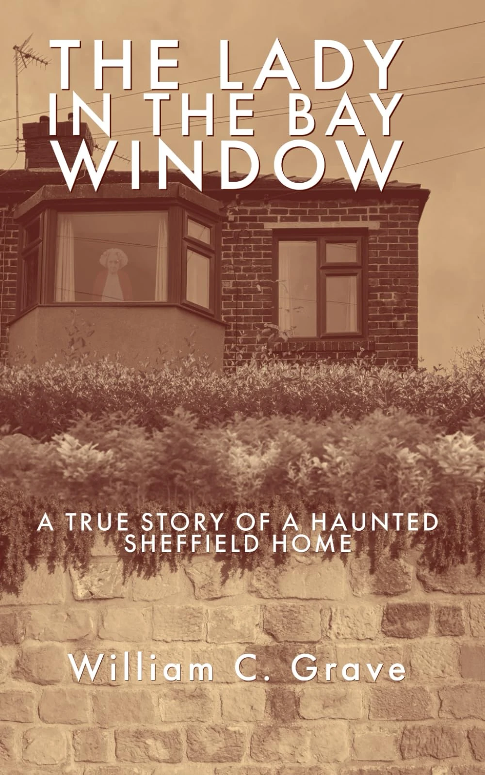 The Lady in the Bay Window: A true story of a haunted Sheffield home: 1 (The Lady in the Bay Window Book Series)