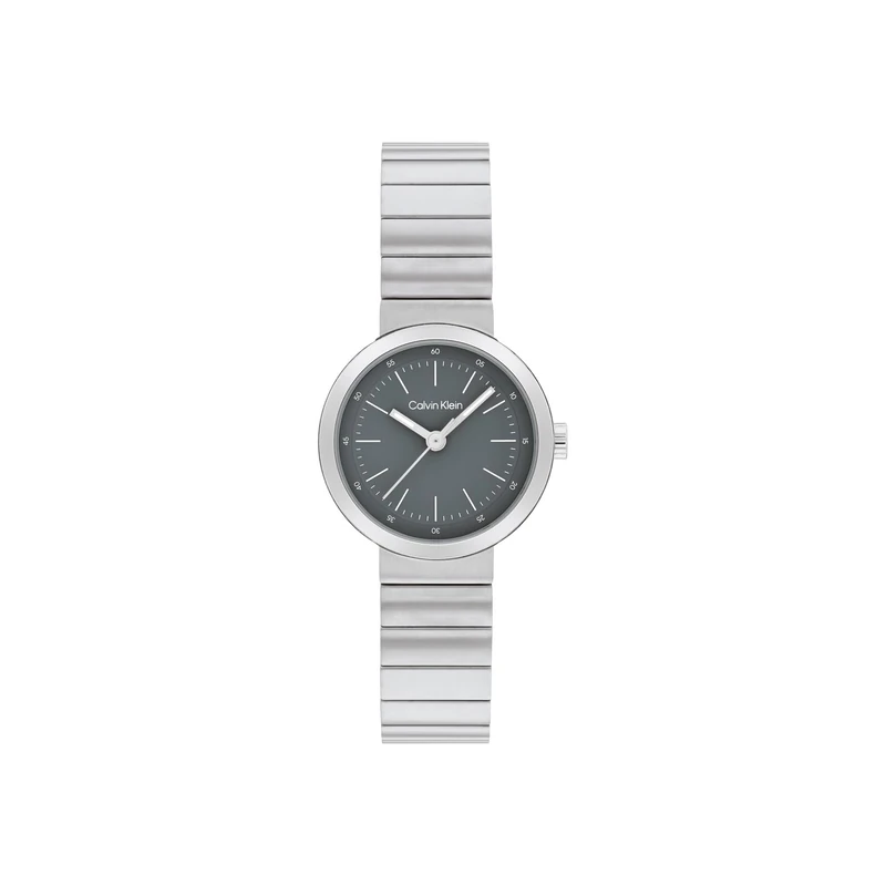 Calvin Klein Analog 25200412, Silver