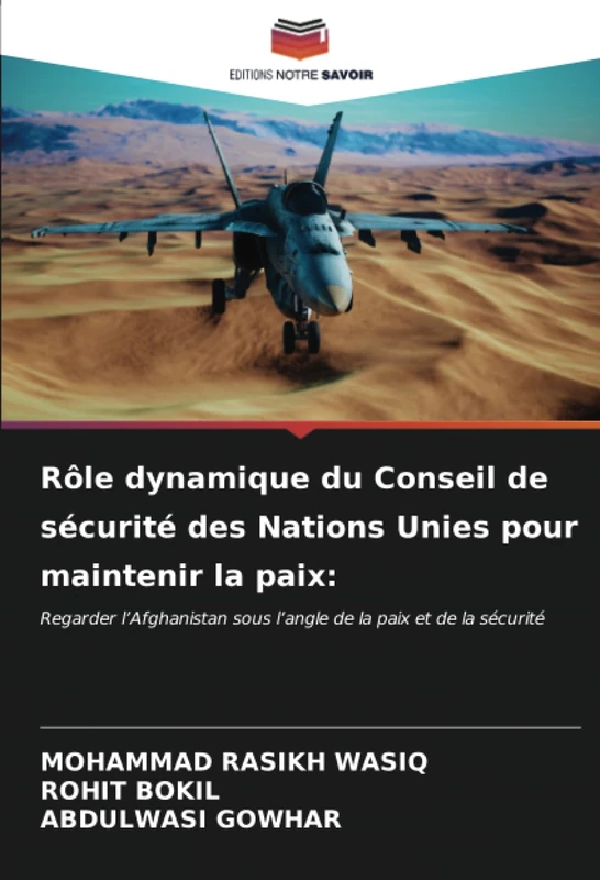Rôle dynamique du Conseil de sécurité des Nations Unies pour maintenir la paix:: Regarder l’Afghanistan sous l’angle de la paix et de la sécurité - Image 1