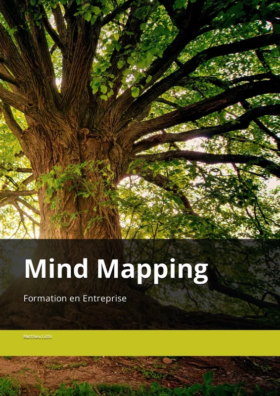 Mind Mapping Formation: EDUCH.ch - Image 1