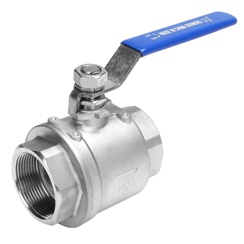 DERNORD Full Port Ball Valve Stainless Steel 304 Heavy Duty for Water, Oil, and Gas with Blue Locking Handles (2.5" NPT)