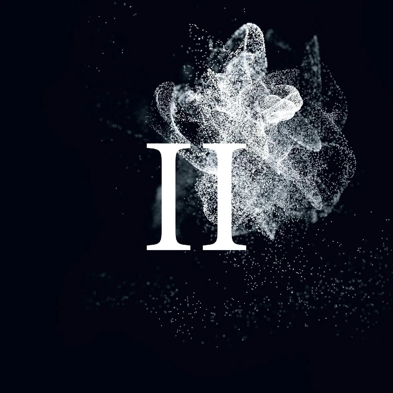 II [ViNYL]