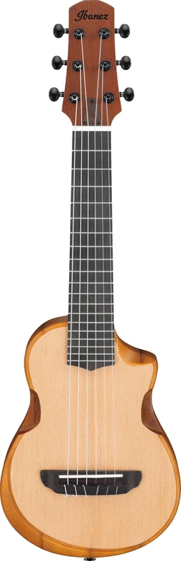 Ibanez AUP10N-OPN Guitalele - String Instrument
