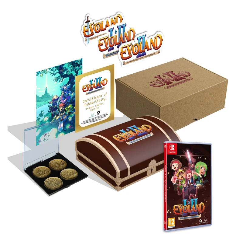 Evoland 10th Anniversary Edition (NSW)