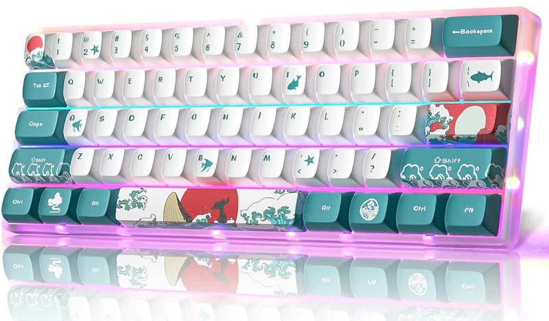 MIHIYIRY 60% Mechanical Gaming Keyboard, 61 Keys Compact Red Switch Keyboard, Full Anti-ghosting Function, RGB LED Backlit Wired Gaming Keyboard for Windows/Mac