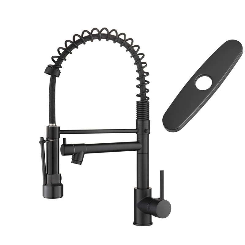 Kitchen Tap Black with Cover Plate