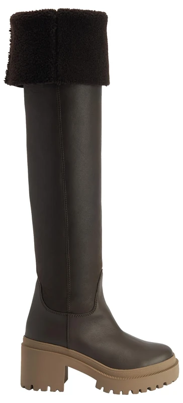 Giuseppe Zanotti Iwona Brown Boots - Chunky Heel, Shearling Lining