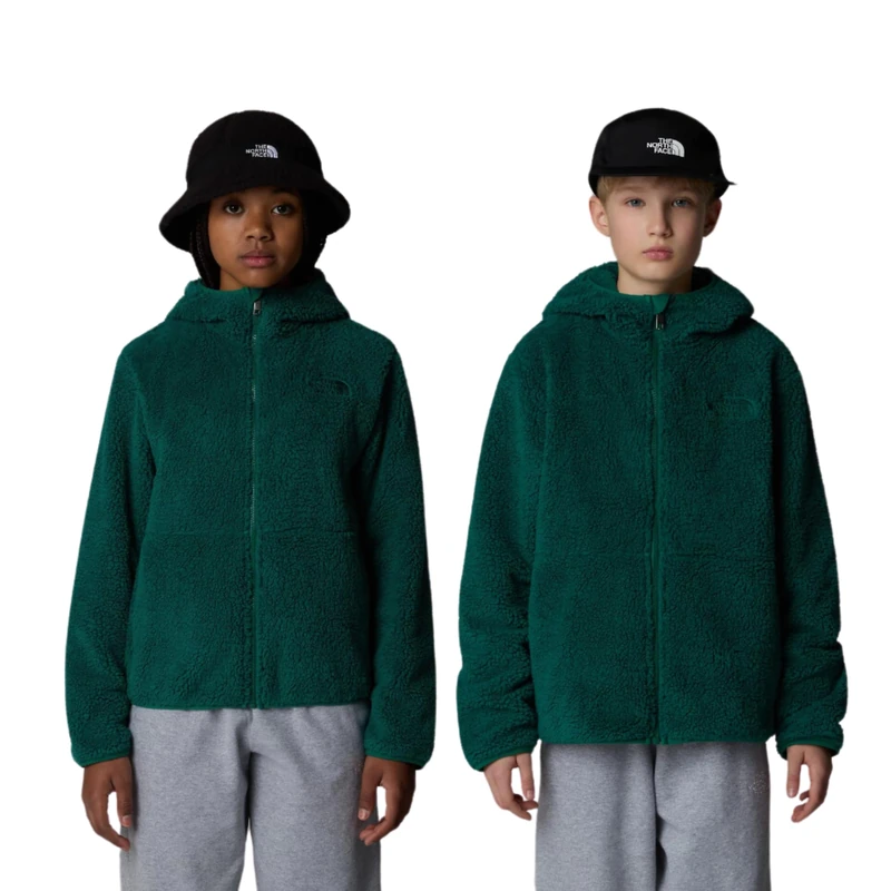 The North Face Unisex Campshire F/Z Hoodie Fleece Jacket, Evergreen, 12 Years