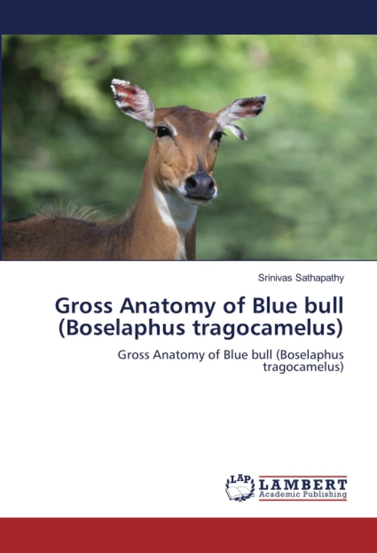 Gross Anatomy of Blue bull (Boselaphus tragocamelus): Gross Anatomy of Blue bull (Boselaphus tragocamelus)