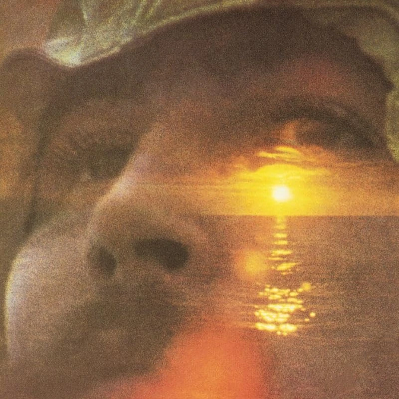 If I Could Only Remember My Name (Atlantic 75 Series) [VINYL]