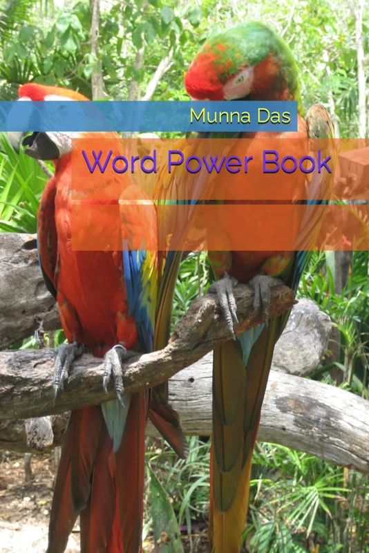 Word Power Book