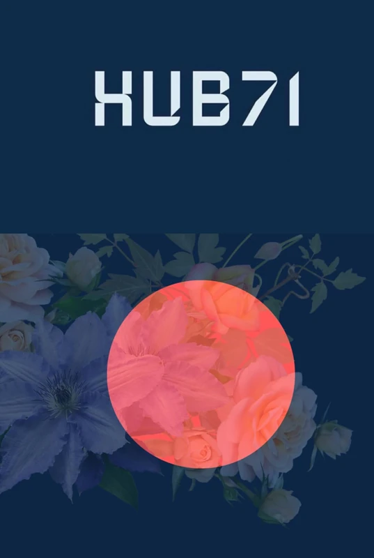 Hub71's Innovator's Handbook