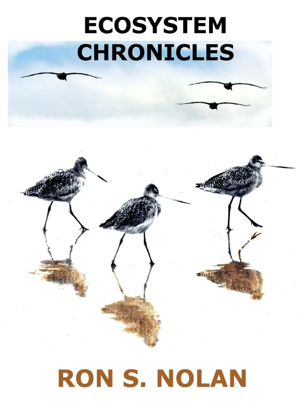 Exploring the Science and Beauty of Nature: Ecosystem Chronicles - Image 1