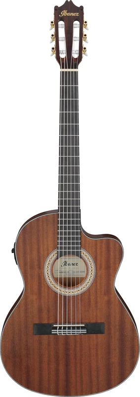 Ibanez CLASSICAL ELECTRO ACOUSTIC, Thinline Body, Open Pore Natural