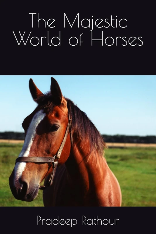 The Majestic World of Horses