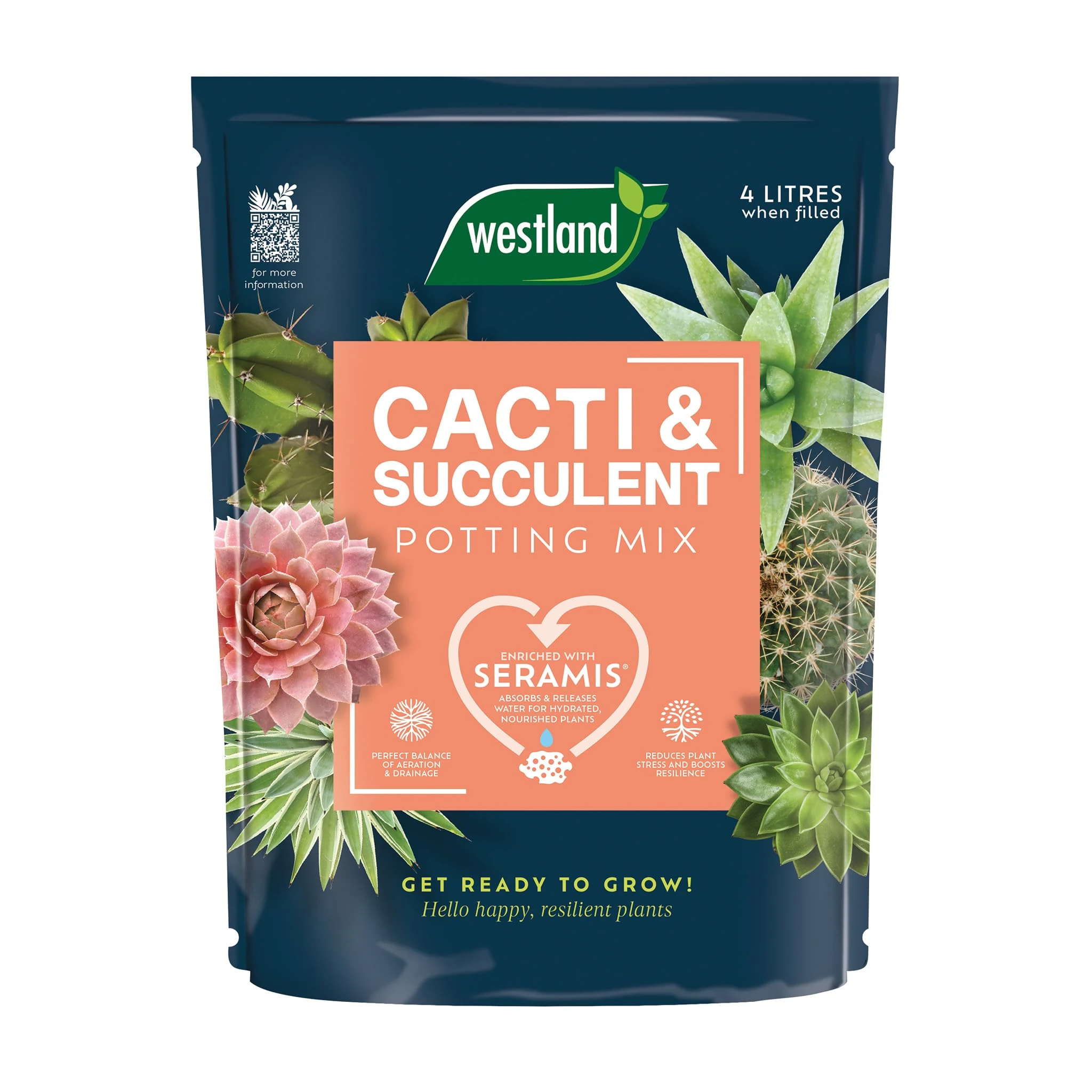 Cacti Potting Mix 4L