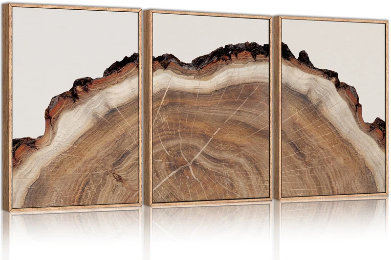 HPINUB Tree Rings Wood Wall Art Framed Set, Modern Beige Wood Stump Wall Decor, Abstract Black and Gray Tree Spiral Wall Painting,Nature-Inspired Art Print for Living Room, Bedroom, Dining Room,