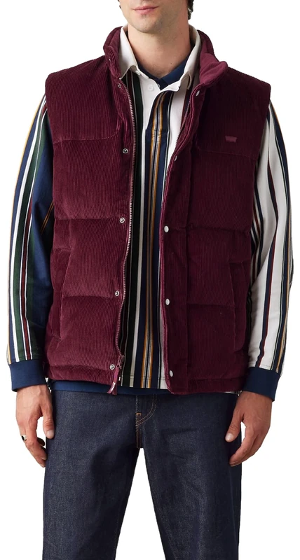 Levi's Men's Rockridge Vest, FIG Purple, L