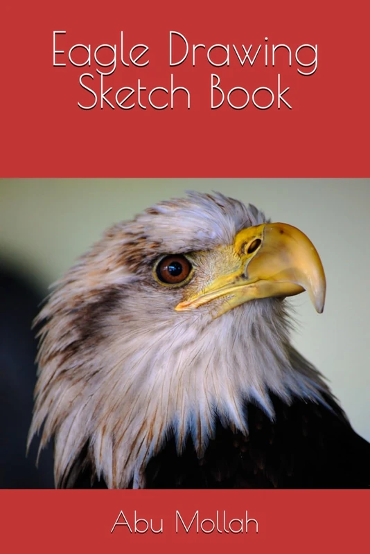 Eagle Drawing Sketch Book