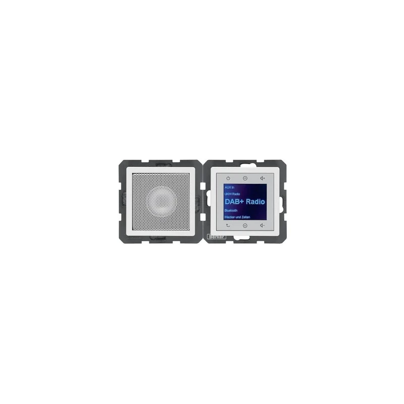 Berker Radio Touch with LS DAB+ BT Q.x Polar White 30806089