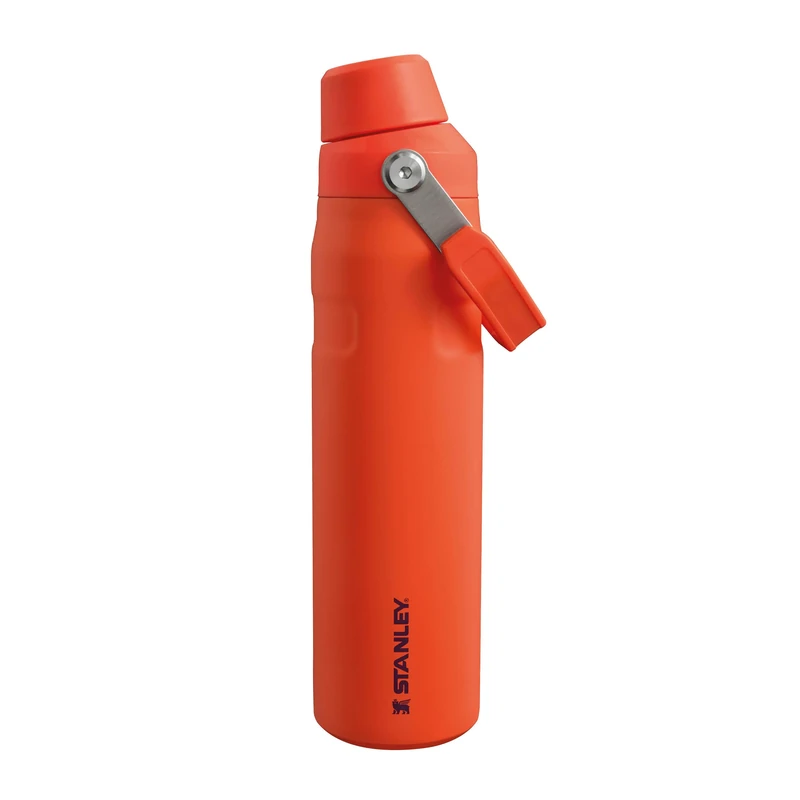 STANLEY 1913 IceFlow Fast Flow Sports Bottle 0.6L - Plum