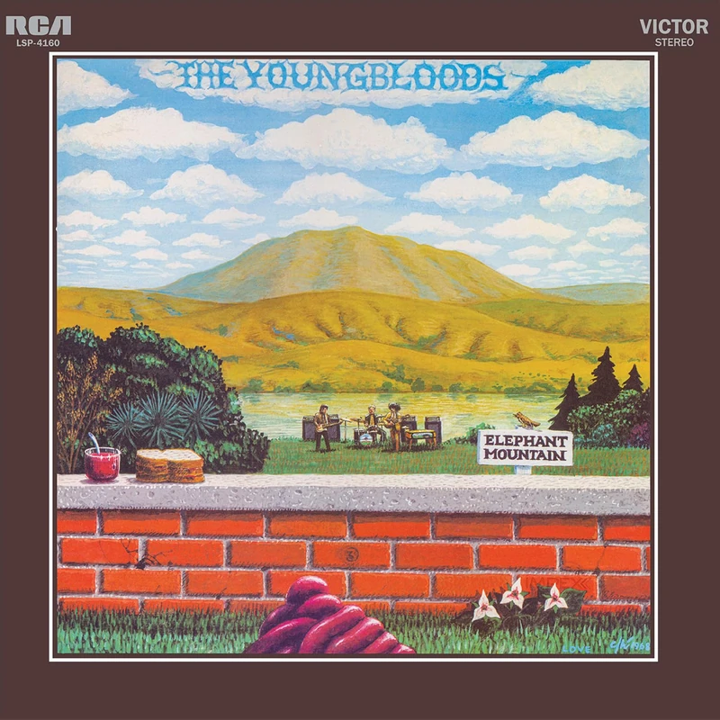 Elephant Mountain [VINYL] - Image 1
