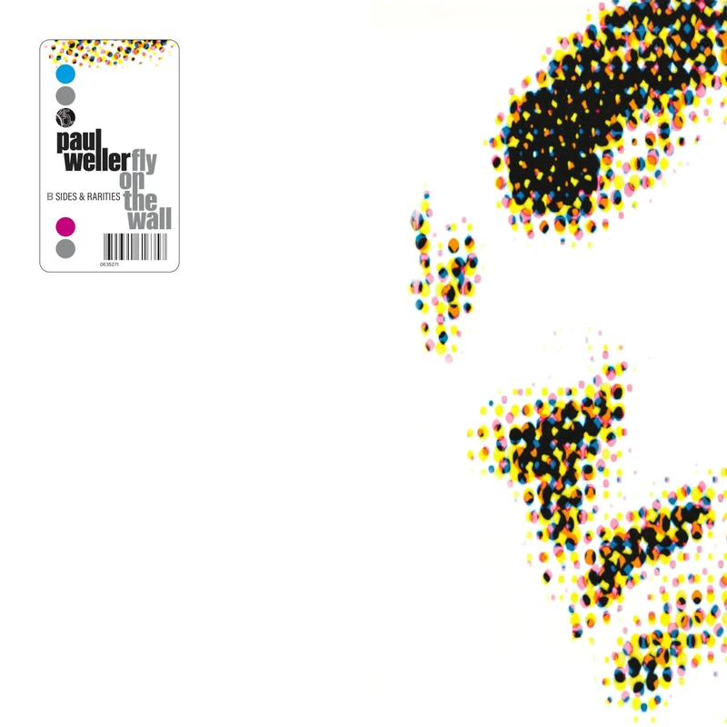 Fly On The Wall: B Sides & Rarities [VINYL]