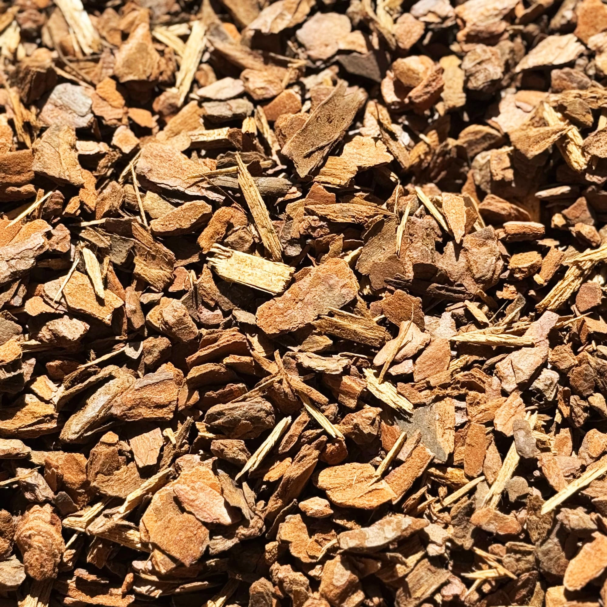 Premium Orchid Care Repotting Bark Soil Compost Mix (50L)