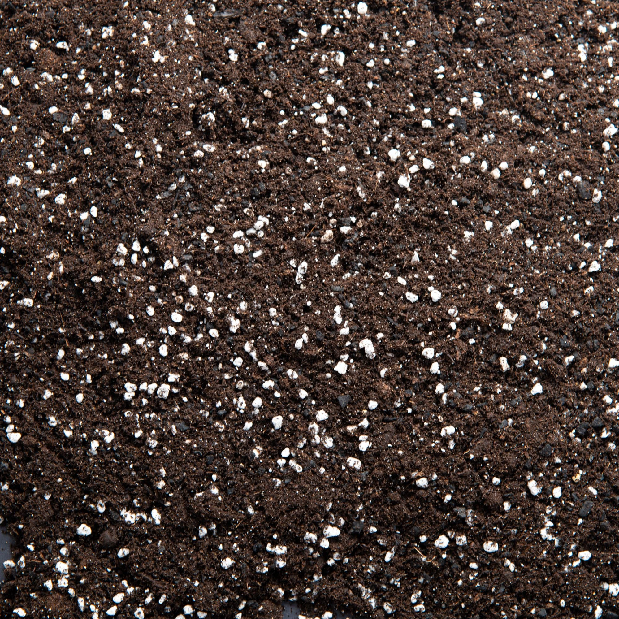 Premium Houseplant Potting Mix with activated Biochar, potting soil for indoor plants (30L)