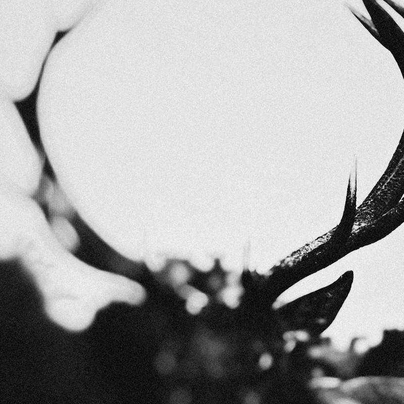 Ihsahn (Orchestral Version) (Limited Clear With Black Smoke Viny) [VINYL]