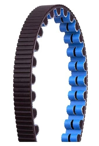 Gates Carbon Drive CING.CDX 118T 1298MM Black Couples, Sport, Multicoloured (Multicoloured), One Size