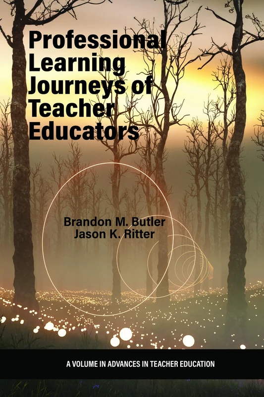 Professional Learning Journeys of Teacher Educators (Advances in Teacher Education)
