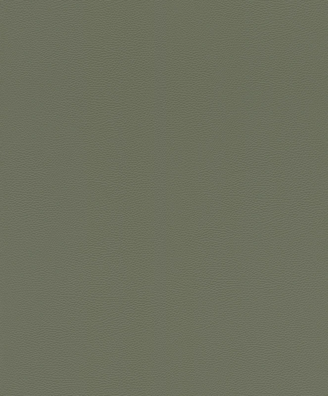 Rasch Wallpaper 752687 - Non-Woven Wallpaper with Leather Look in Green from The African Queen Collection - 10.05 m x 0.53 m (L x W)