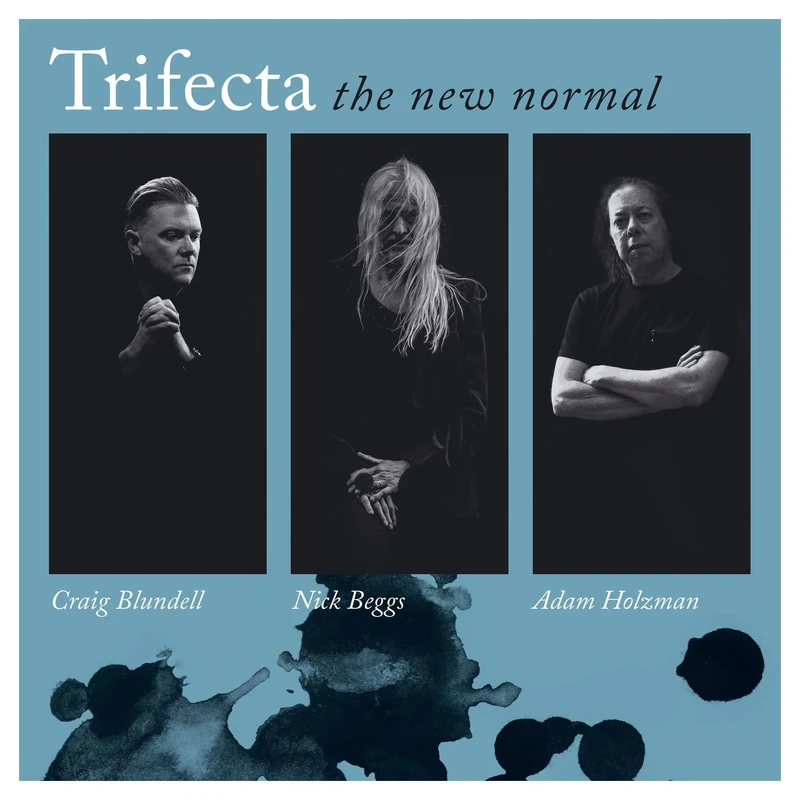 The New Normal [VINYL]