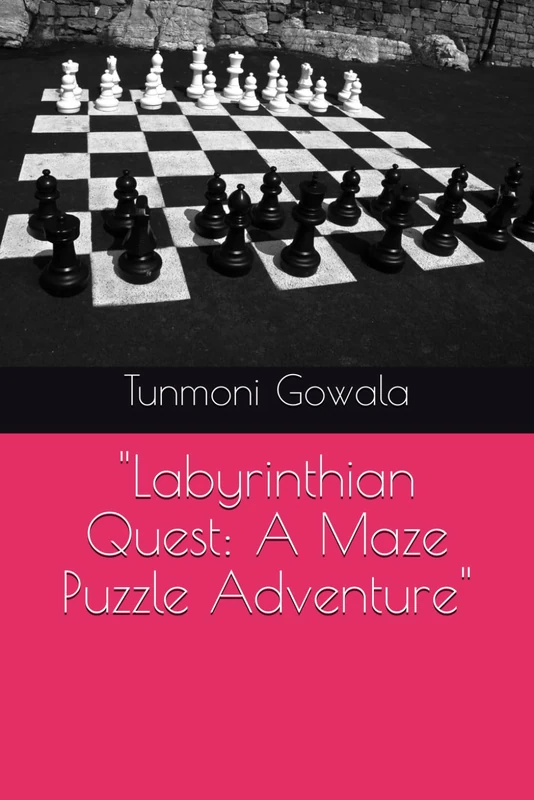 "Labyrinthian Quest: A Maze Puzzle Adventure"