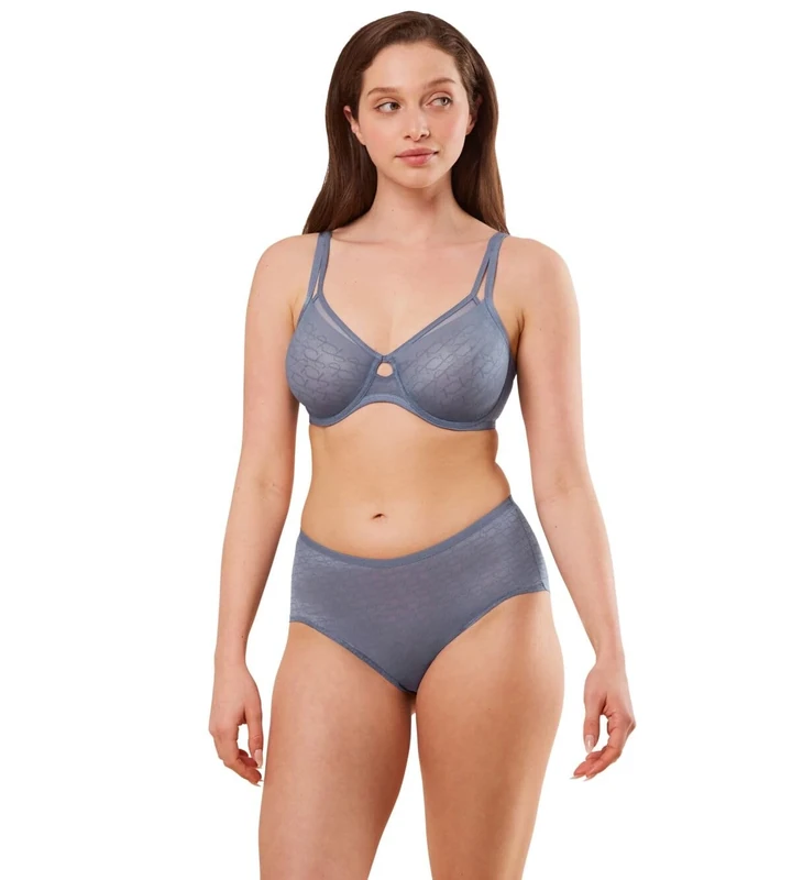 Triumph Women's Triumph Signature Sheer W01 EX Bra, Cloudy Blue,