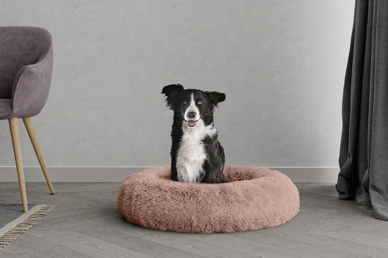 Dreams Pet Bed Dreams and Caprices Pets, Soft Polyester, Pink, 70 x 70 cm